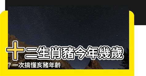 屬豬幾年次|【十二生肖年份】12生肖年齡對照表、今年生肖 